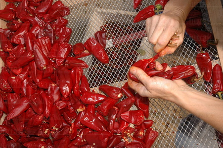 08RT0189-Preparación Pimiento rojo. Espelette, Lapurdi, Francia