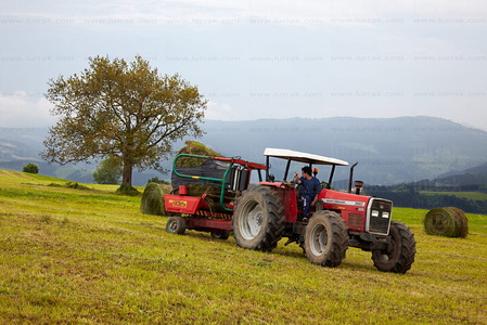 09PXE_770-Labores agrícolas con tractor en Endoia. Zestoa, Gipu
