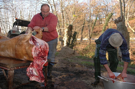 09RT_0035-Matanza del cerdo. St Pee sur Nivelle, Lapurdi, País 