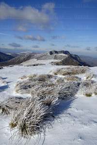 010RT_0010-Cumbre del Monte Iparla con Nieve. Nafarroa Beherea, 