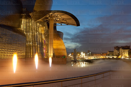 011FJG_0066-Museo Guggenheim, Bilbao, Bizkaia, Euskadi