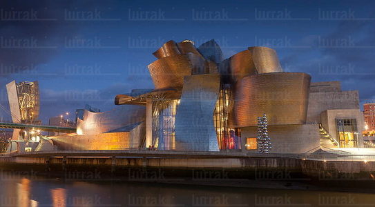 011FJG_0150-Museo Guggenheim, Bilbao, Bizkaia, Euskadi