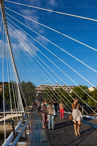 011FJG_0259-Puente Zubi-Zuri. Bilbao, Bizkaia, Euskadi