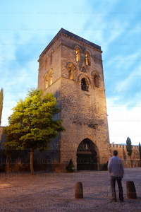011MDR_0043-Torre Abacial, Laguardia, Alava, Euskadi