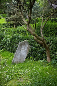 011MDR_0081-Cementerio de los Ingleses. Monte Urgull. Donostia, 
