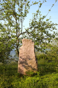 011MDR_0316-Menhir de Txoritokieta. Rentería, Gipuzkoa, Euskadi