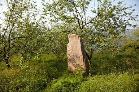 011MDR_0317-Menhir de Txoritokieta. Rentería, Gipuzkoa, Euskadi