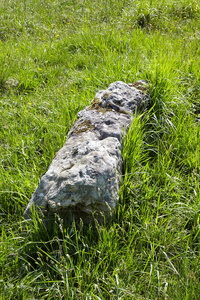 011MDR_0324-Dolmen Berrozpin I. EstaciÛn Megalitica de Txorikie
