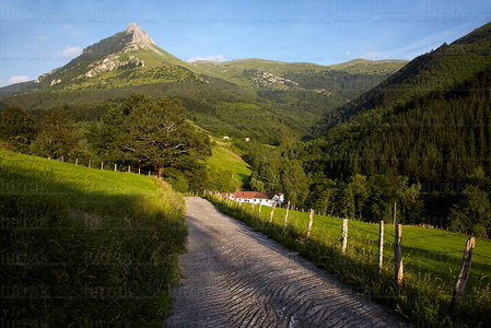 011PXE_1546-Monte Txindoki. Sierra de Aralar. Gipuzkoa, Euskadi
