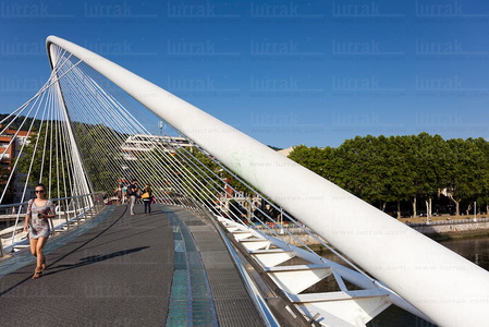012FJG_0115-Puente Zubi-Zuri. Bilbao, Bizkaia, Euskadi