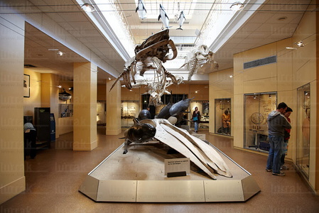 012PXE_0545-Museo del Mar. Biarritz, Lapurdi, Francia