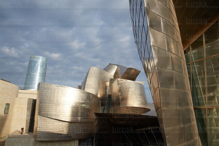 013PXE_0118-Museo Guggenheim, Bilbao, Bizkaia, Euskadi