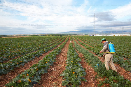013PXE_0312-Agricultor fumigando campo de calabacines. Ribera Al