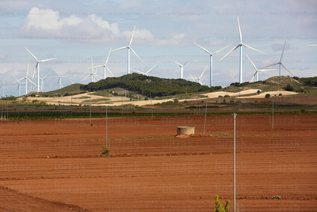 013PXE_0351-Agricultura. Ribera Alta. Navarra
