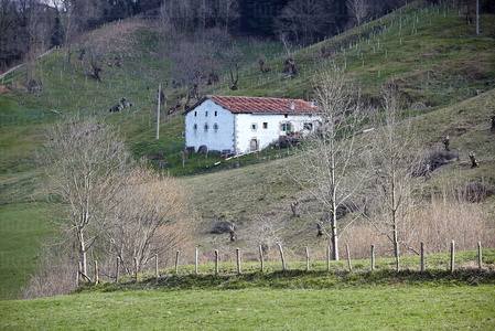 09359-Caserío en entorno rural. Intza, Navarra