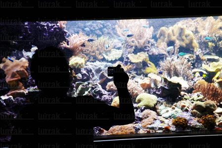 09462-Aquarium-Getxo-Bizkaia-Euskadi