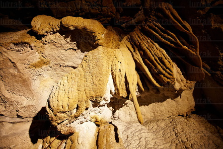 09751-Cueva-Ikaburu-Urdax-Navarra