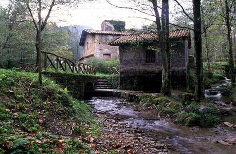 00559-Ferreria-Agorregi-Aia-Euskadi