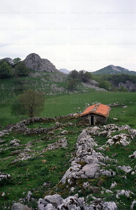 00781-Campas de Urbía. Sierra de Aizkorri, Guipúzcoa, Euskadi