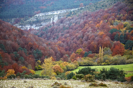 10400-Bosque-Otoño-Valderejo-Lalastra-Álava-Euskadi