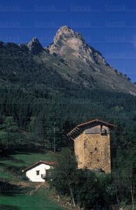 01274-Torre Etxaburu. Bizkaia, Euskadi