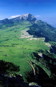 01425-Monte-Lekanda-Campas-Arraba-Euskadi