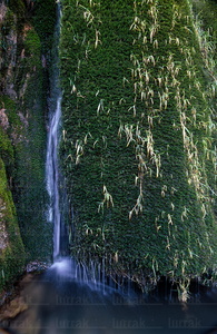 04194-Cascadas de La Tobería Sierra de Entzia Andoin Alava Eusk