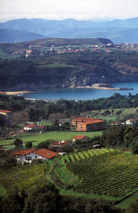 04635-Viñedos-Bahía-Górliz-Bizkaia-Euskadi