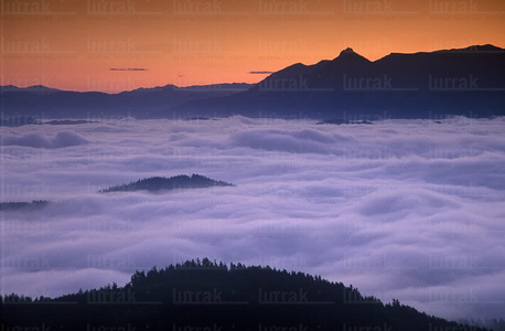 05161-Niebla en el Valle de Goierri, Gipuzkoa, Euskadi