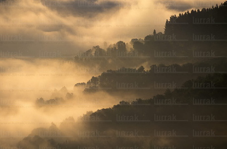 05164-Paisaje del Valle de Goierri con Niebla, Gipuzkoa, Euskadi