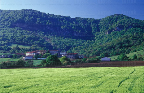 05209-Paisaje en Andoin, Alava, Euskadi