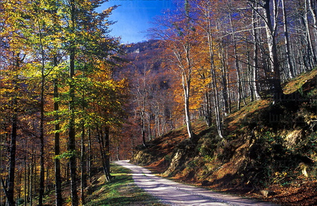 05225-Sierra de Aizkorri, Gipuzkoa, Euskadi