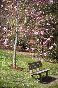 05390-Jardín Botánico. Pagoeta, Aia, Gipuzkoa, Euskadi