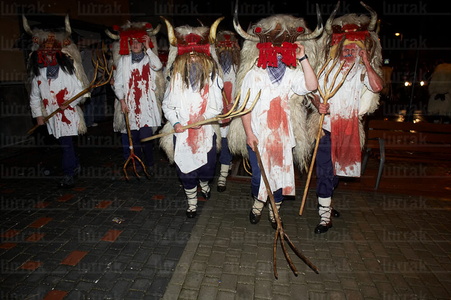 05661-Carnavales de Alsasua, Navarra