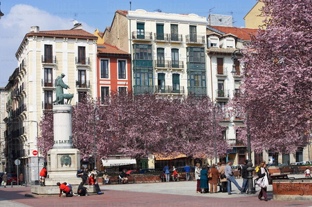 05682-Plaza de San Francisco con los almendros en flor. Pamplona
