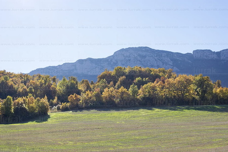 06014 -Otoño en la Sierra de Cantabria. Bernedo, Alava, Euskadi
