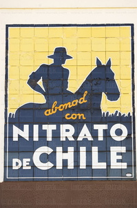 06020 -Publicidad antigua con mosaico de Nitrato de Chile. Berne