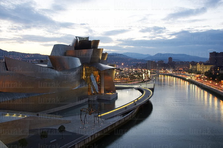 06125-Museo Guggenheim, Bilbao, Bizkaia, Euskadi