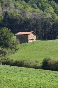 06567-Cabaña. Valle de Ulzama. Navarra