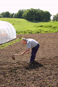 06579-Agricultor trabajando la tierra. Eltzaburu. Valle de Ulzama. Navarra