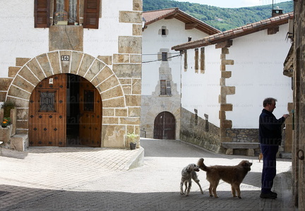 06608-Valle de Ulzama. Navarra