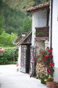 06664-Casas con flores en Irotz, Navarra