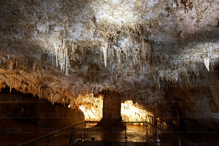 06698-Cueva de Pozalagua. Karrantza, Alava, Euskadi