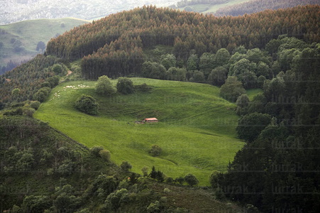 06722-Parque Natural de Armañon. Bizkaia, Euskadi