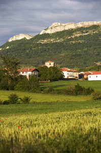 06865-Paisaje de la Llanada Alavesa. Munain, Alava, Euskadi