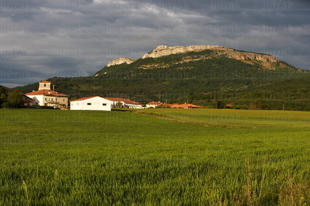 06867-Llanada Alavesa. Munain, Alava, Euskadi