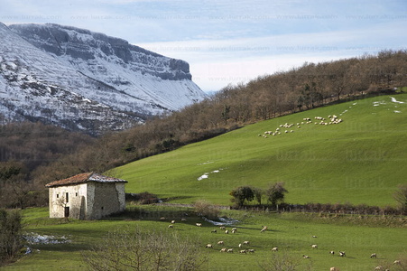 07149-CaserÍo. Sierra Salvada. Aguñiga, Alava, Euskadi
