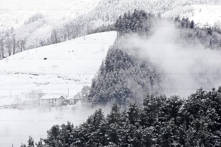 07345-Paisaje nevado. Mutiloa, Gipuzkoa, Euskadi