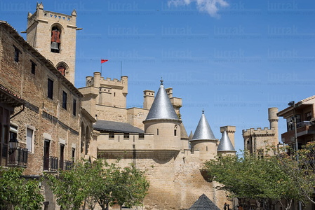 07416-Castillo de Olite, Navarra