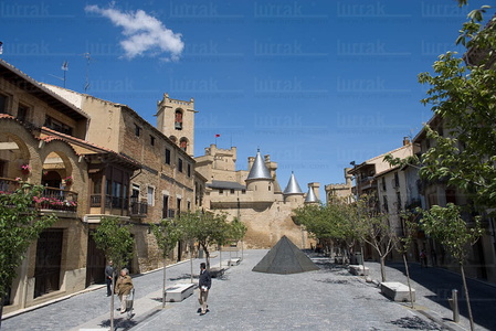 07417-Castillo de Olite, Navarra